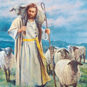 Tawaran Sang Gembala Featured