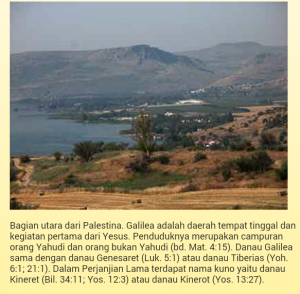 Read more about the article Kenapa Maria Begitu Special?