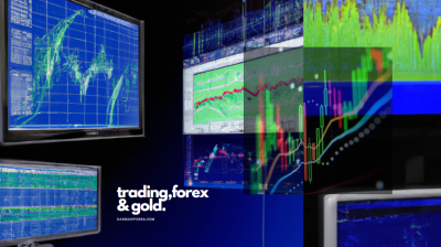 Read more about the article Traders Pemula, harus bagaimana?